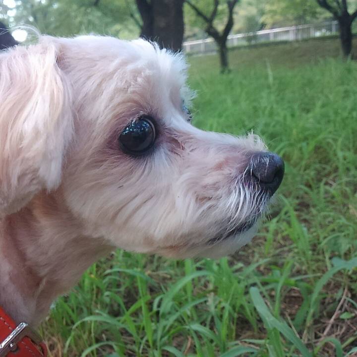 4249bd6d 6ff6 4d2d aed2 d35fa155bce3