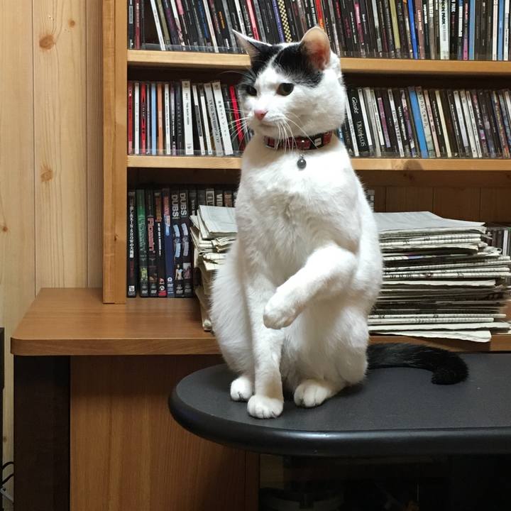 424a23c9 45d5 46af 95fb 338c7ae804f9