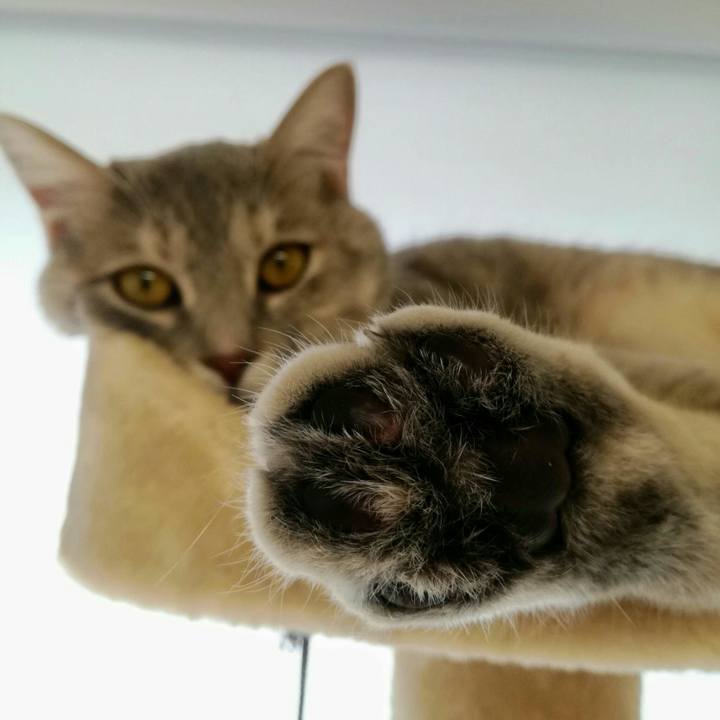 424b2161 454a 478e 9e9a 96c0660b6a87