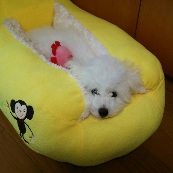 424b3c2c 7d43 4012 9369 7f60ef20b4eb