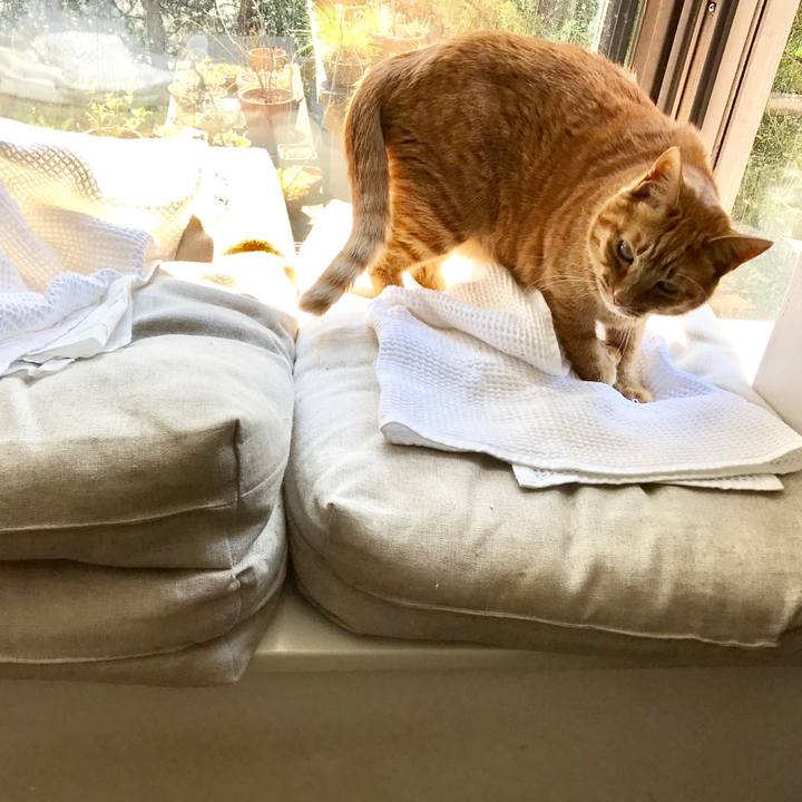 424bba59 b334 40db 9d6a 7e284c71746f