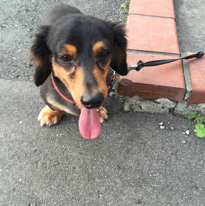 424c8b66 a7ca 41af b658 7b4a8f71031b