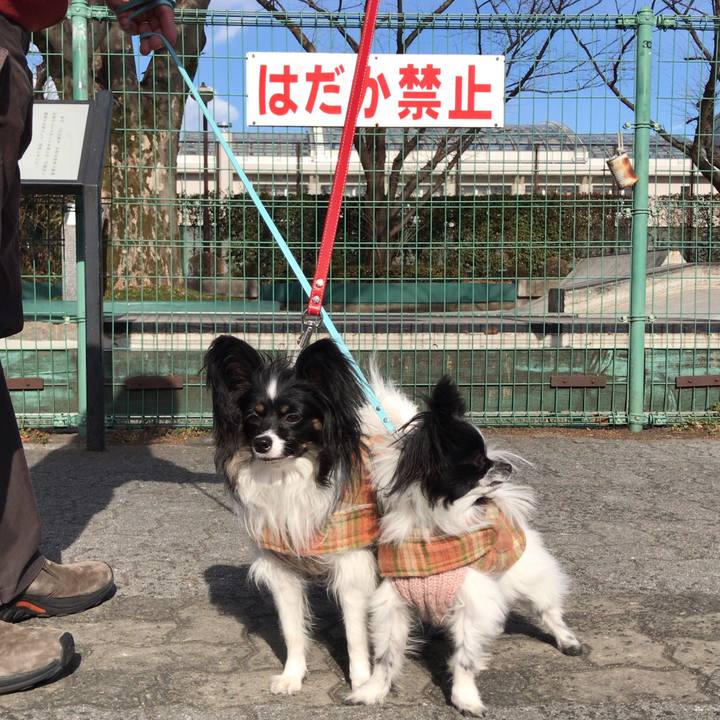 424d21fe 1d02 476a ba1b f181e27350a3