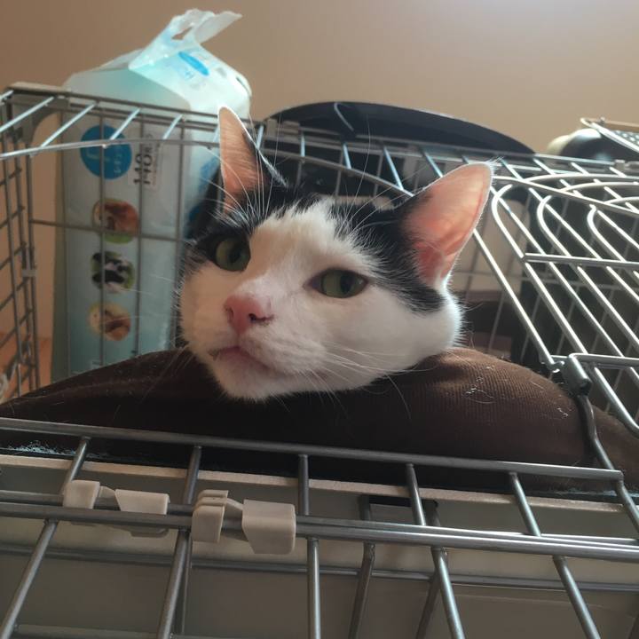 424dc6d8 afa5 49c8 b063 00f2269f4390