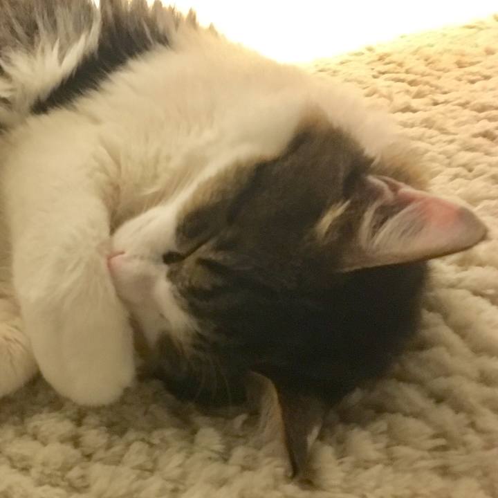 424ddb28 93ef 47fb 99f4 8843ac12ad11