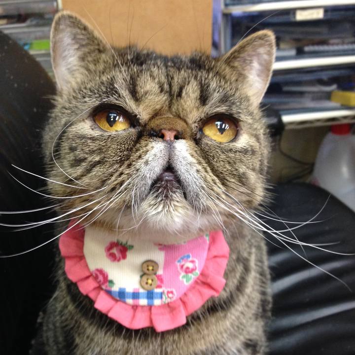 424e600d b439 4c99 a4a2 77c3ce76ed17