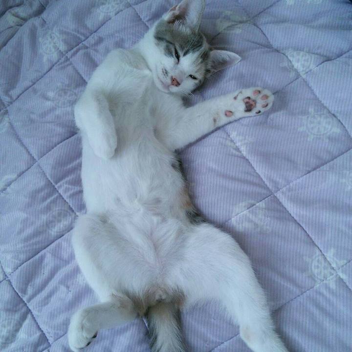 424f4e9d 2a9a 41b1 be66 c48a4cc9f43d