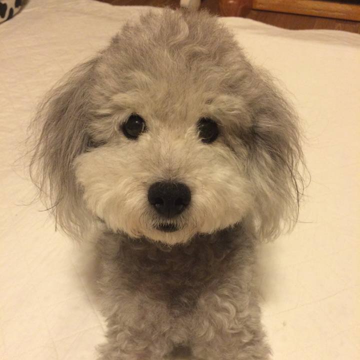 424f69f6 beba 4cb6 831d 10285cf5e82f