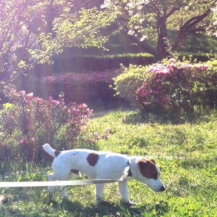 424f7f63 4c85 49dc 8eb8 fead6b8f5854