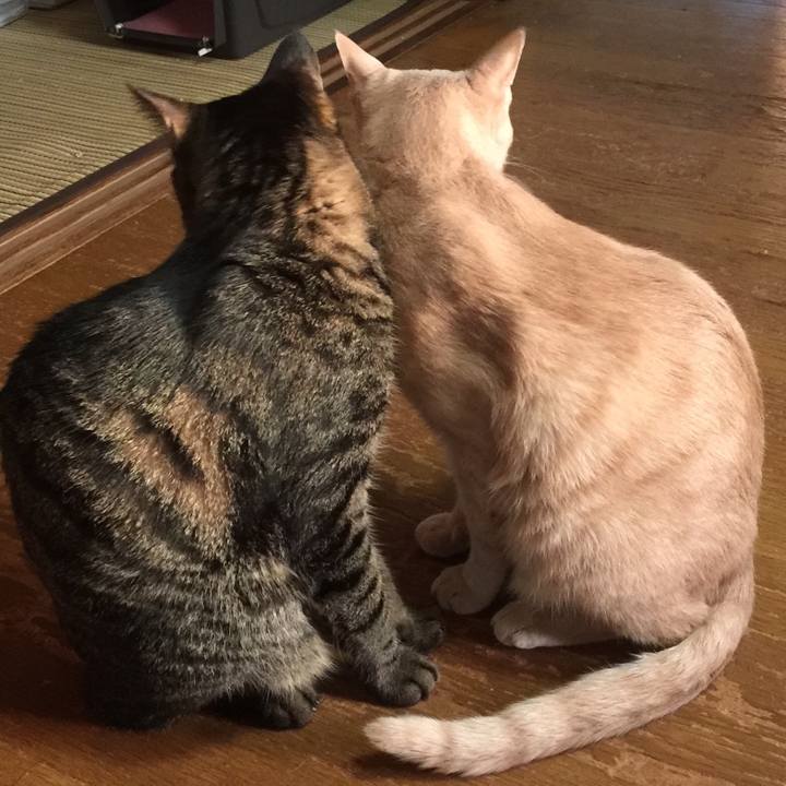 424fdd3c dc97 4d83 9512 b8c825468766