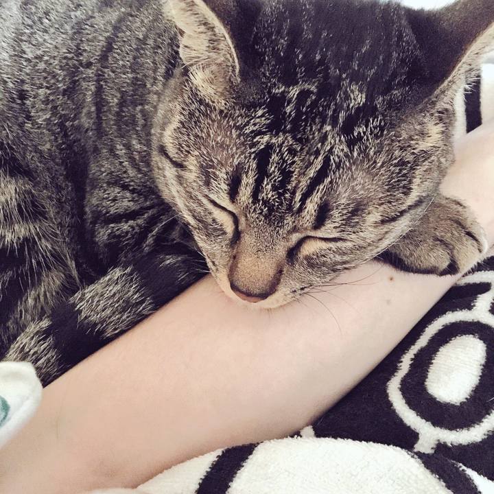 424ff88e eb3a 461a 839a 7b1f035c9abe