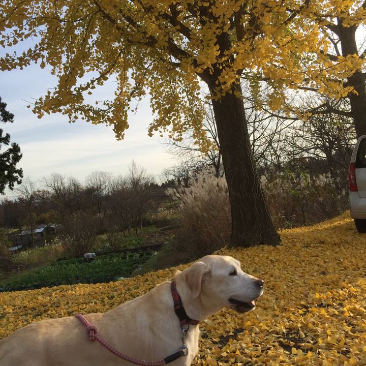 4250373b f020 4745 9b99 b9016d1a4fb1