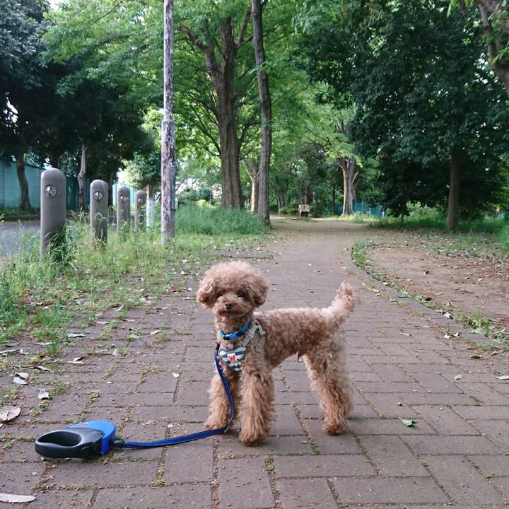 425068ee dd27 4a3f 8ed1 6eaae942505a