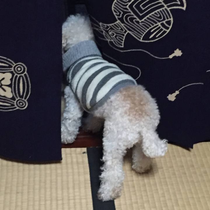 42507b17 e486 4277 8502 a15c73f55697