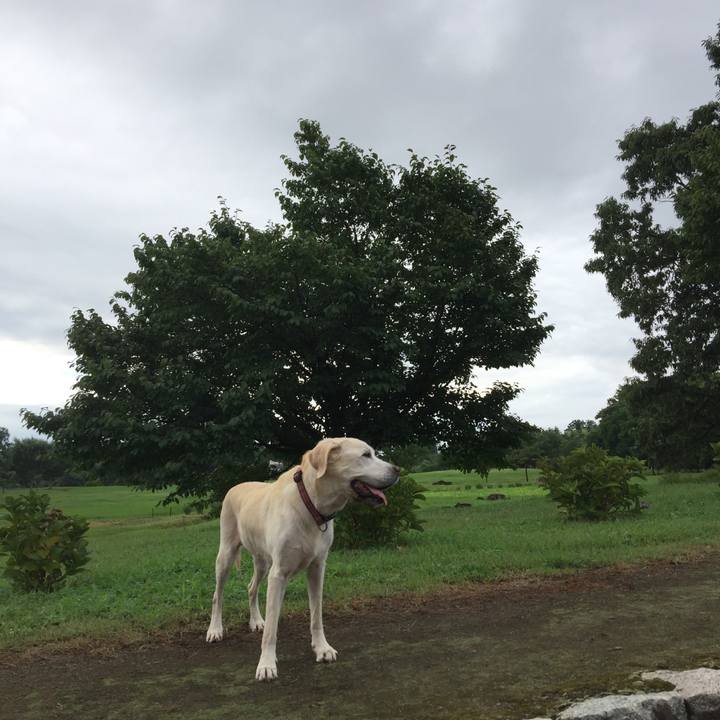 425135db 69b1 4c7b 938a 02628bb7beb3