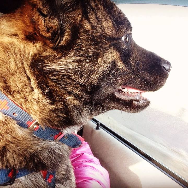 42519352 3101 4786 a1eb 3a7d27b1b3e9