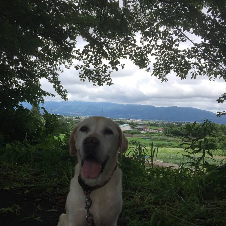 42523890 c36f 4853 8063 06160a71f362