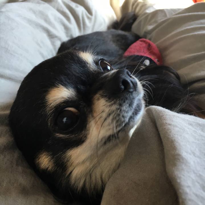 4252446b ac8d 4c9a bf24 bb2c38e1f8c1