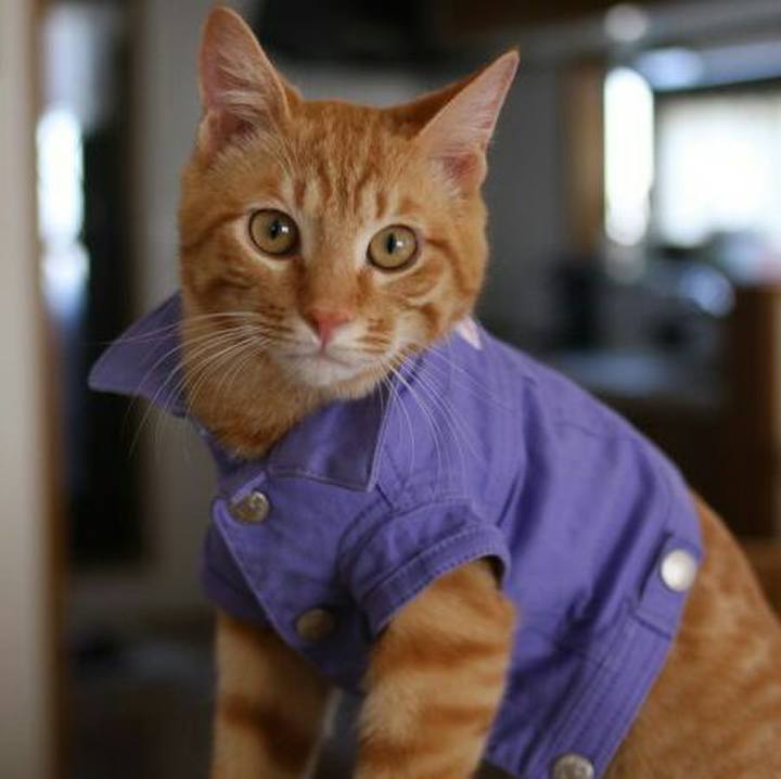 4253f5d5 f6b4 43f6 88e3 178b2c819ca3