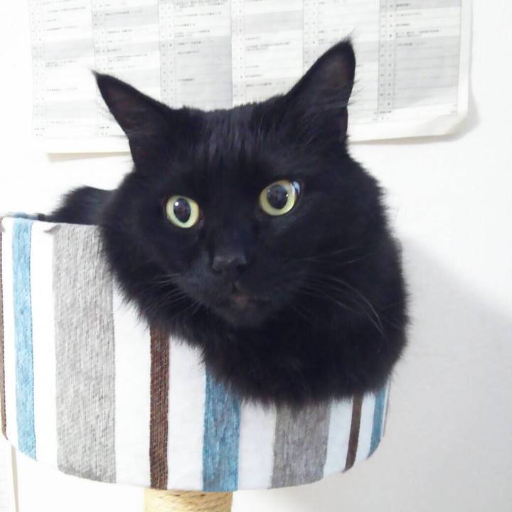 42541969 9d53 402a bdae 243956ddd08a