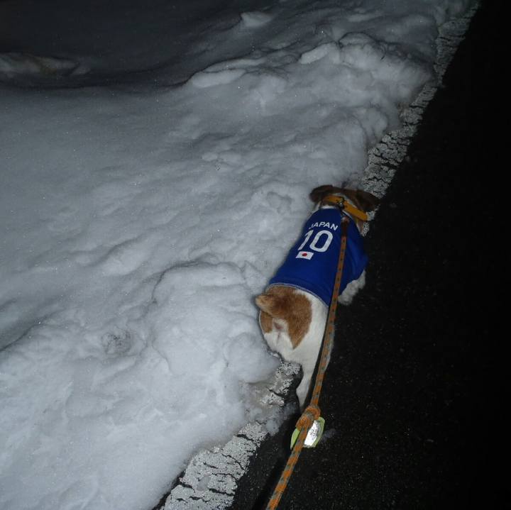 42545470 d205 4ba6 add9 55d0f3436091