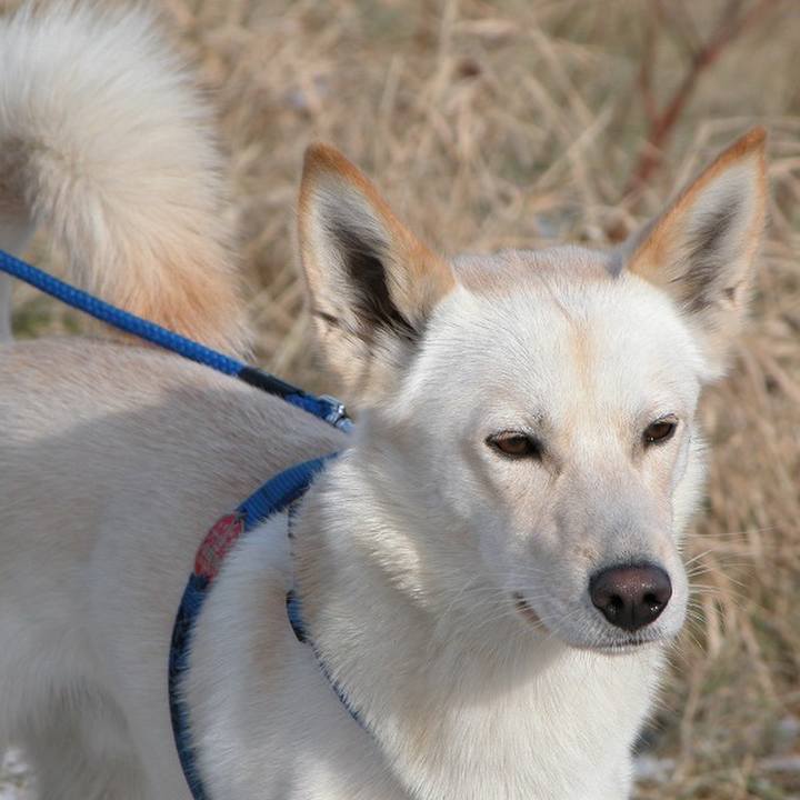 42554354 aa2f 4bfa 94eb d6fed41e0ee7