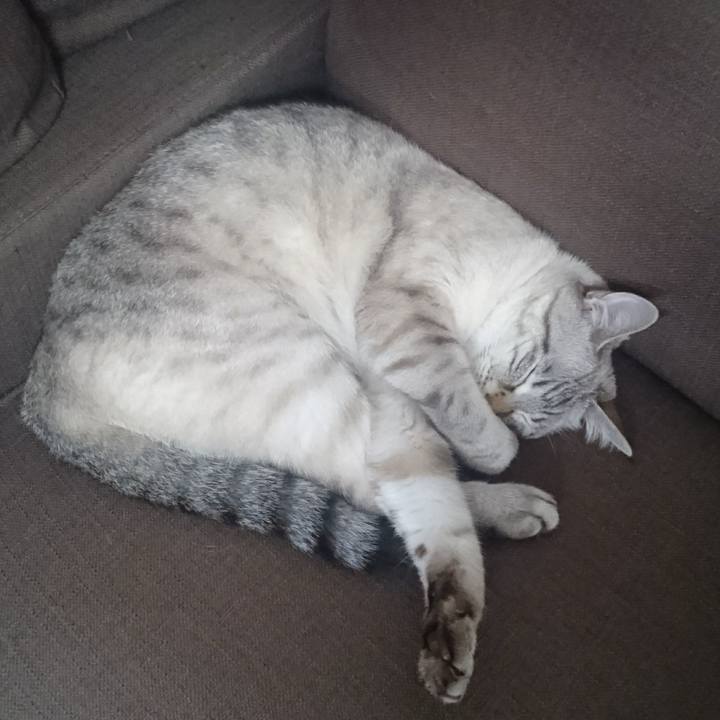 425638b4 7e0a 4be1 982e 88a812e4b5ae