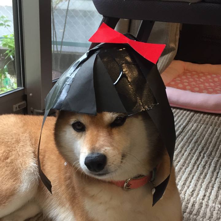 42564d76 f151 4cba be04 a0ac2d67c42d