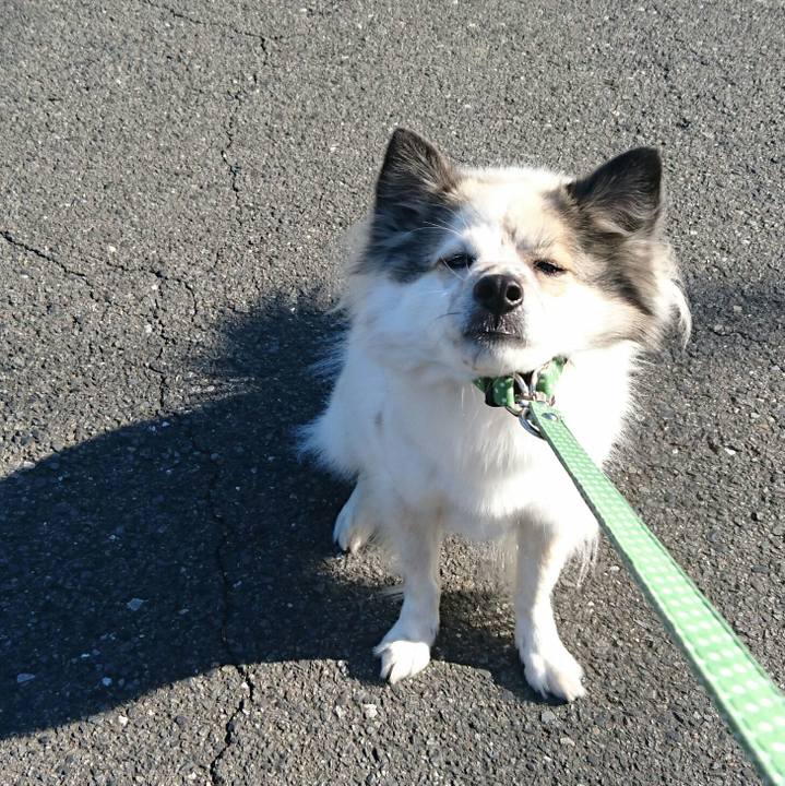 42566051 e6ae 47c0 befb 0c0fd50b6814