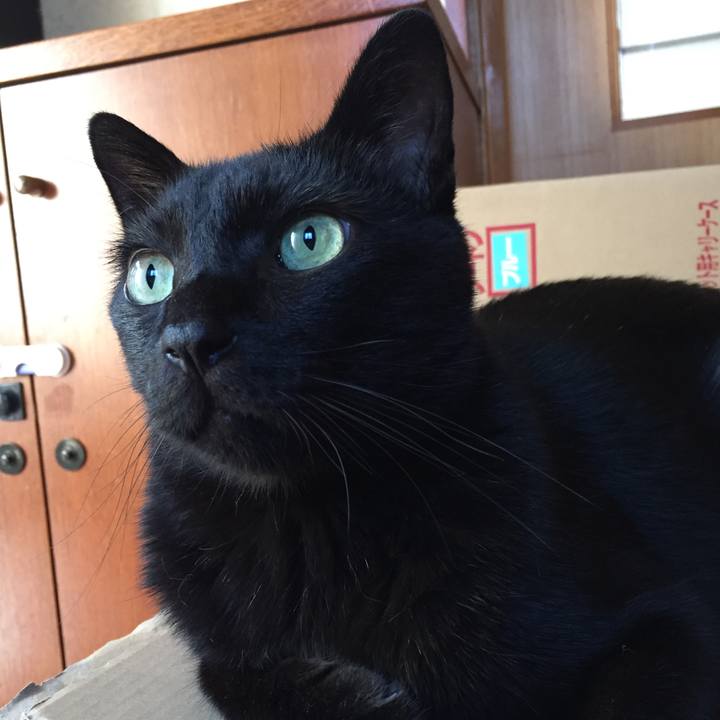 4256a648 1195 463e 89c1 f7a851aeb4df