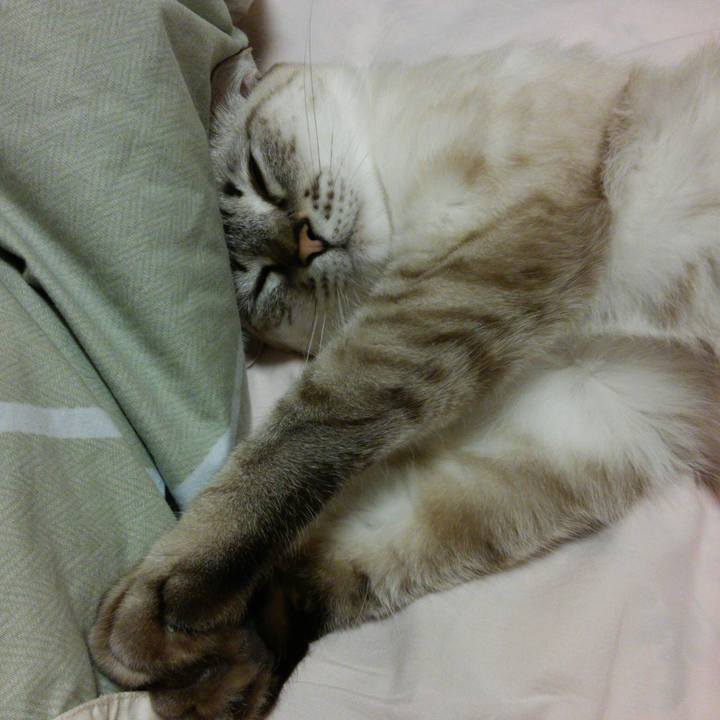 42573b55 975d 4ab2 87b2 bdb924c4f475