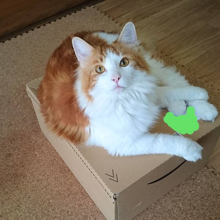 42580e42 fae4 48ac bde4 f543077b1d96