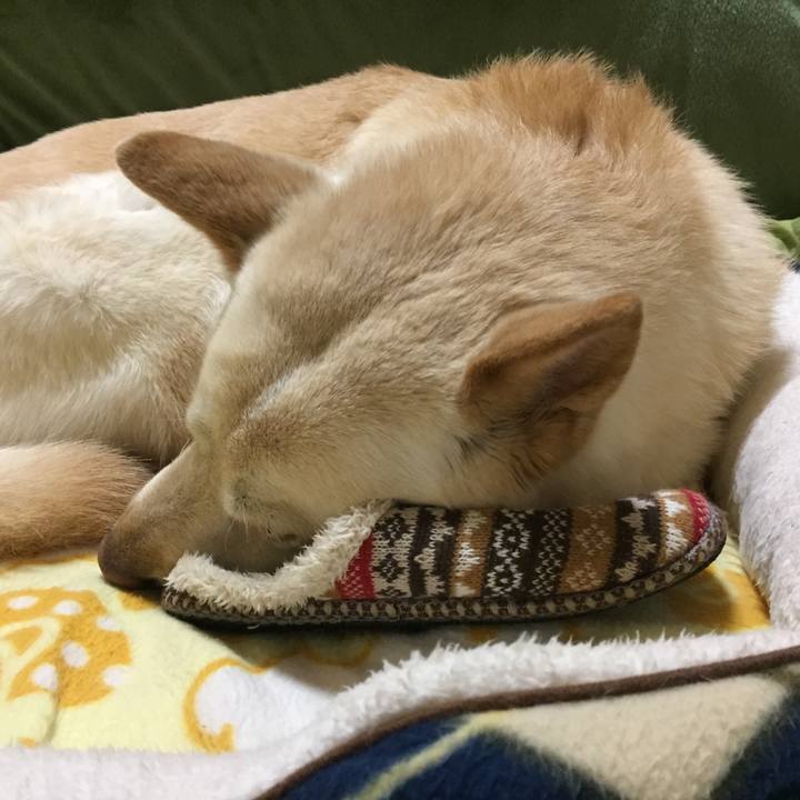 4258eef9 092d 4f36 bdd4 c14597616cde