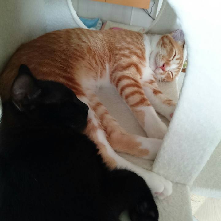 4258f149 bc60 4e76 8e4a b2d0700b3131