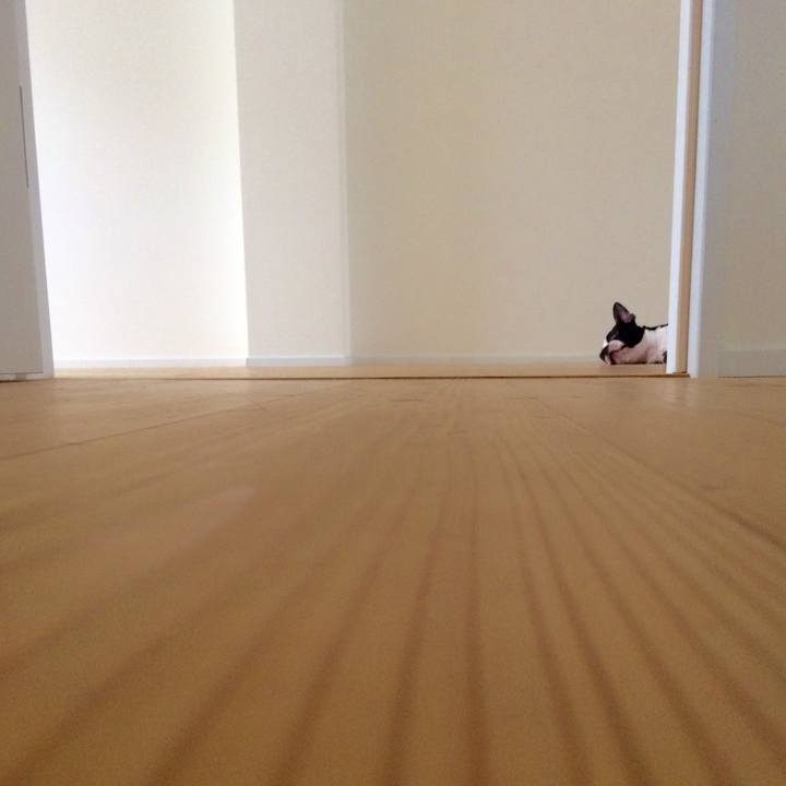 4258fb6a dae1 4fe2 9cbb 6e69e2927f63