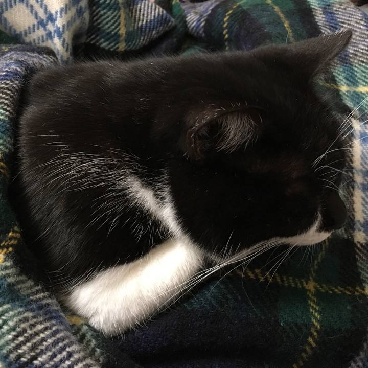 425a6b04 81a1 418e 97c1 ee6569fa5d96