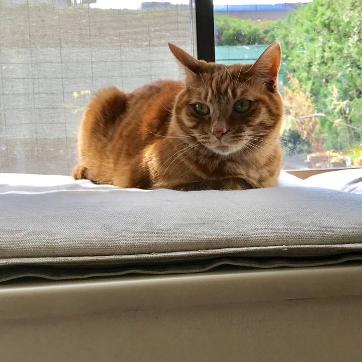 425b7935 5e38 4f50 a968 9416a02a4df0