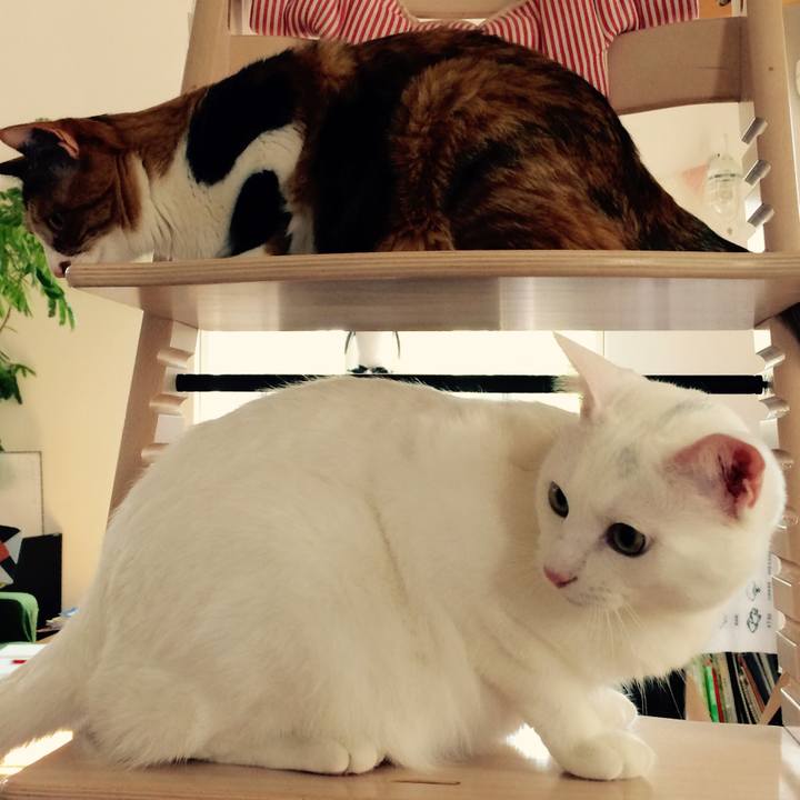 425b934f ae4b 47ff 9e0e b44ed488c577