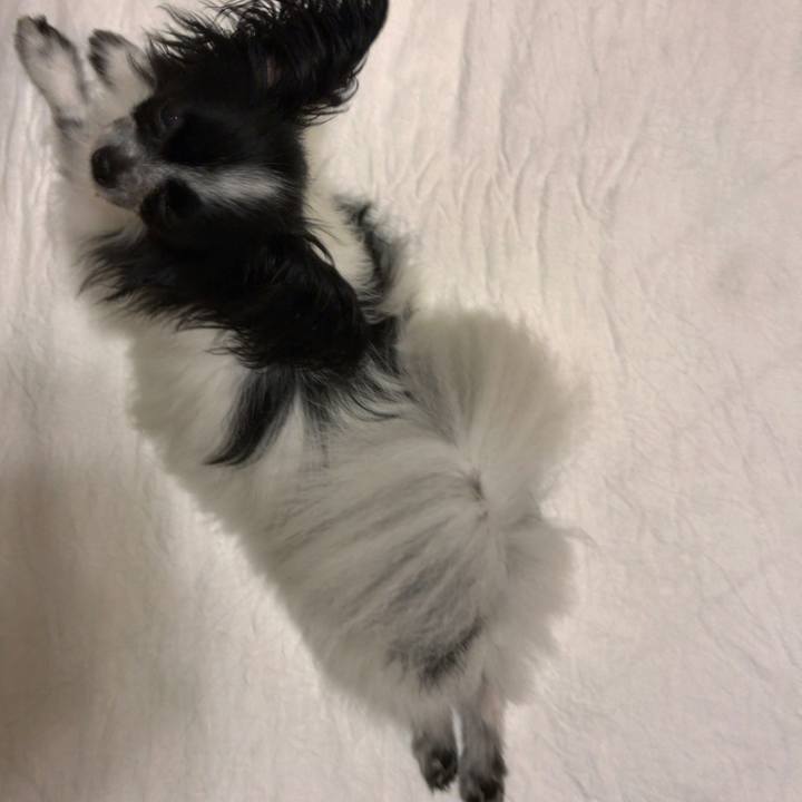 425c2254 4b48 4e47 afc9 374e4d783793