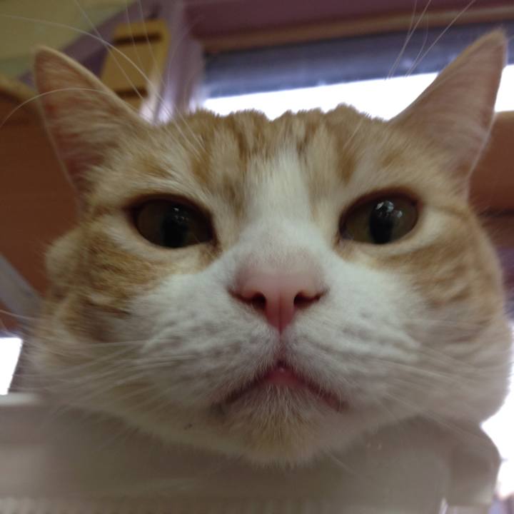 425cf6d5 3646 43c0 807f 5cd77262b451