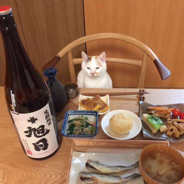 425df7a0 faa1 4e71 8627 49d2fb66d67e