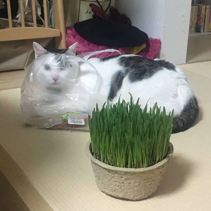 425e34e8 d3e2 4307 8c34 060ab9f94473