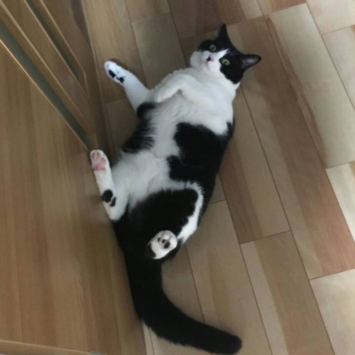 425e4728 5987 42d2 ae7f 28b962146b82