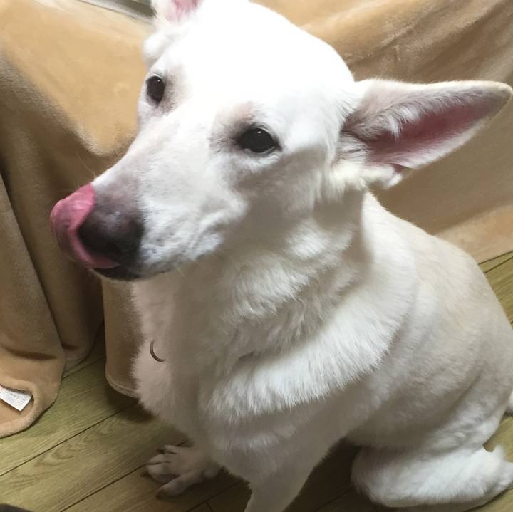 425ea28e 24b1 4045 b746 e90437b0aba3