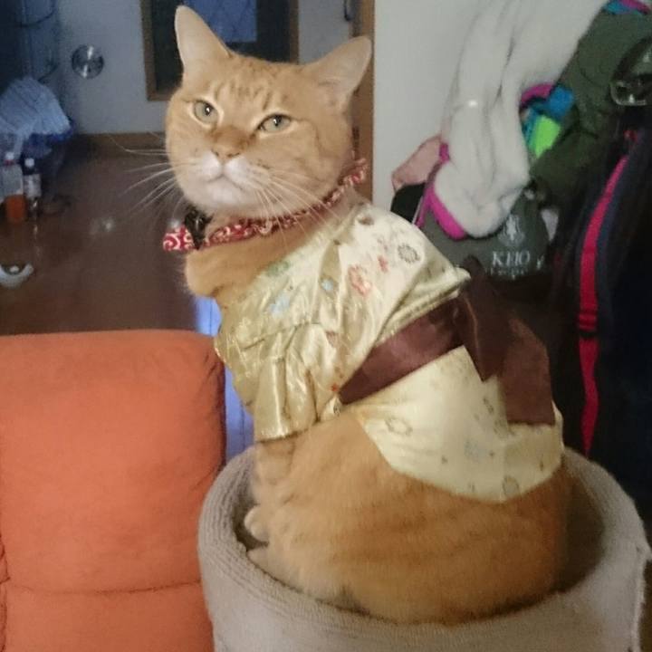 425f5209 9e4f 41ff a255 135a0ca38f92