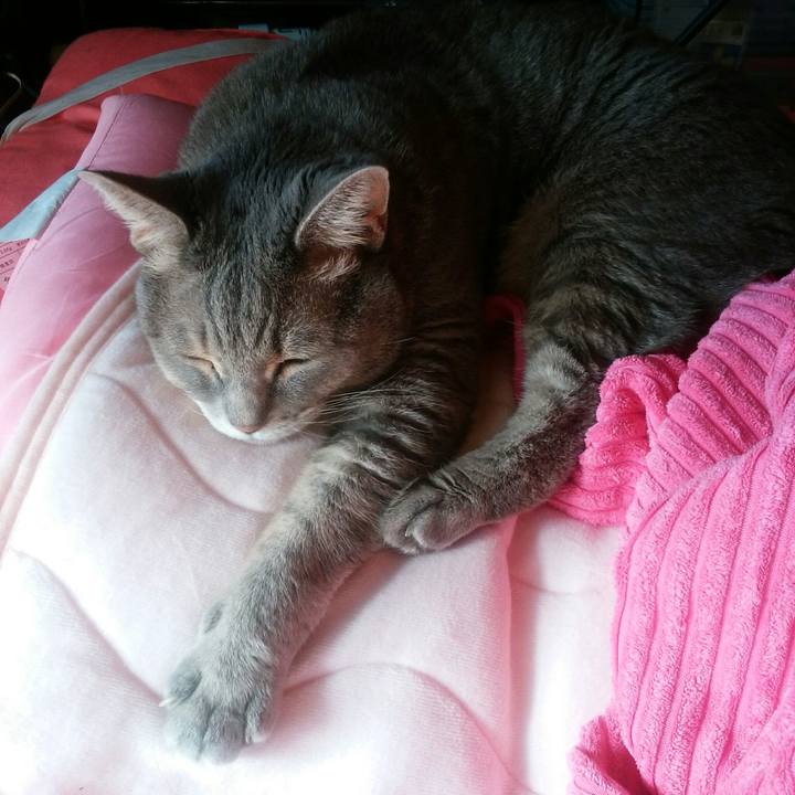 425f6012 897e 4f69 94ec 0c955b3c2be0