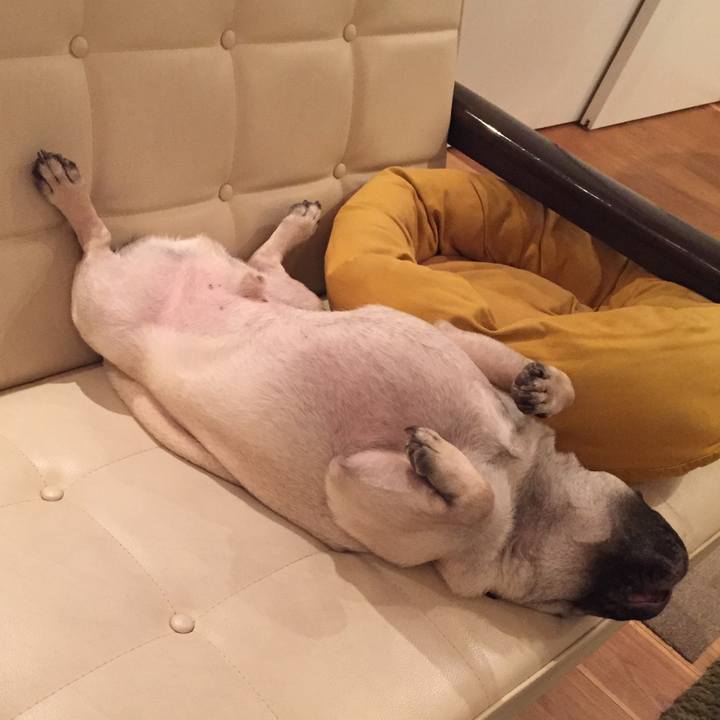 425fd021 8ec6 4054 bd85 ec817b537b2d