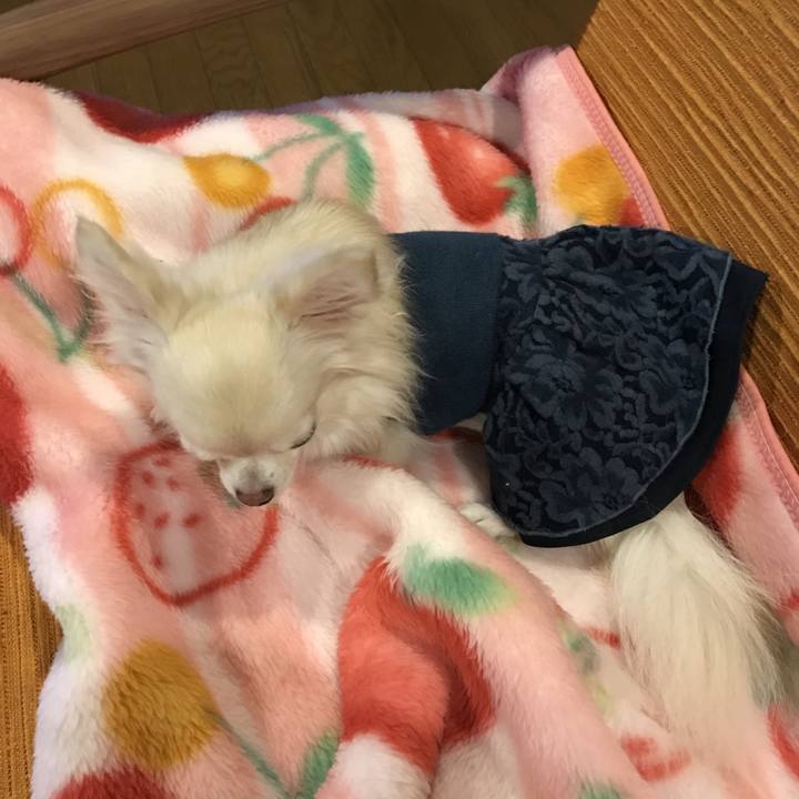 42601f34 c9e2 4180 8234 0cfbd527e907