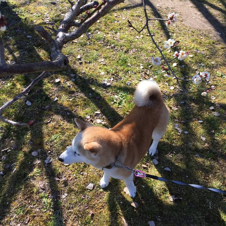 42608d0d c581 4640 8e35 fb50f9c35a93