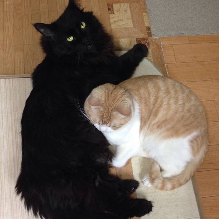 4260ff5b 8da8 42ff 8bb6 639344d269ae